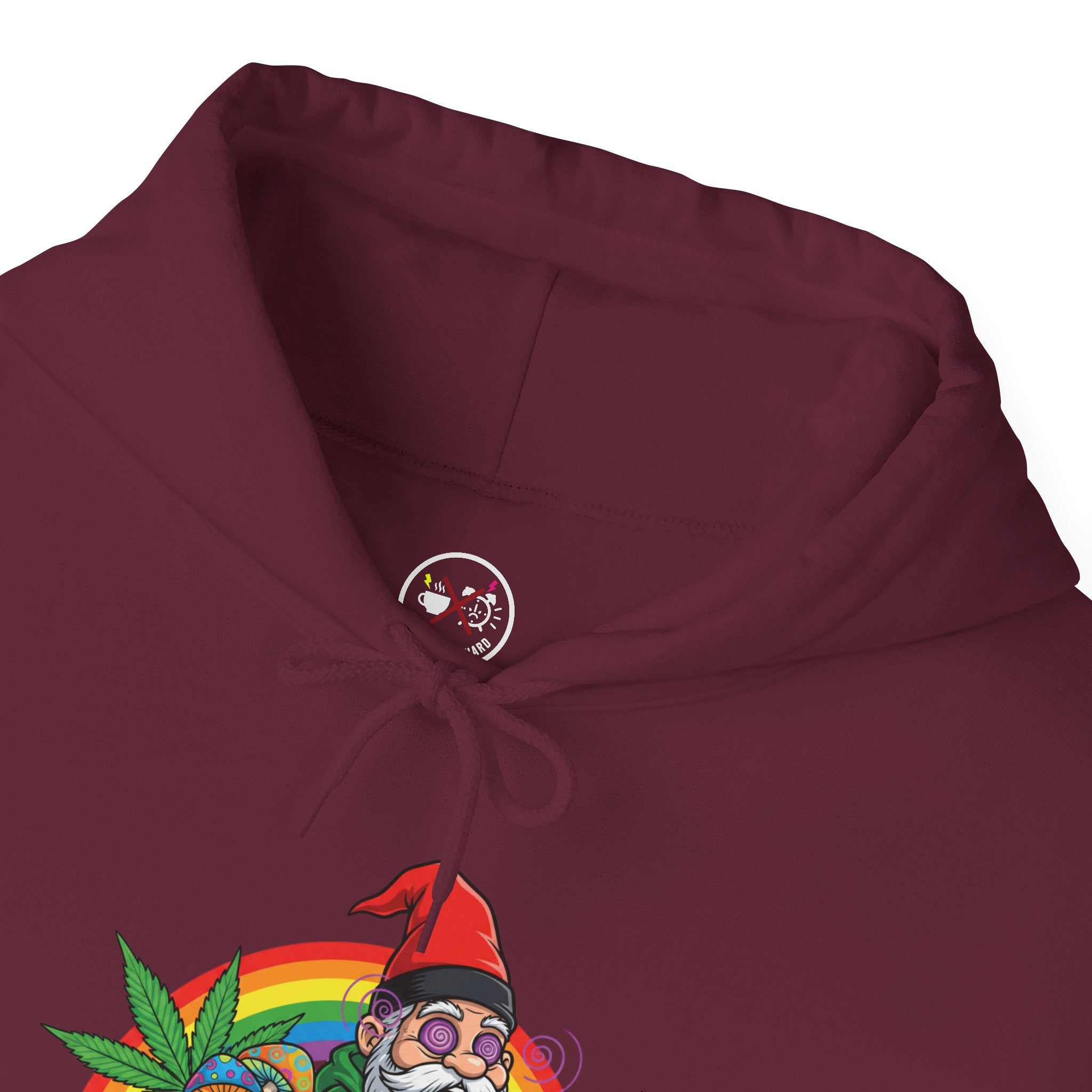 Gnome & Pot Of Treasure Rainbow Hoodie
