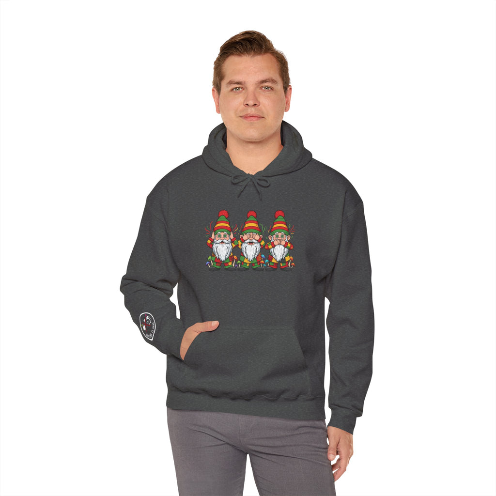 No Evil Gnome Trio Hoodie